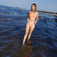 dasha